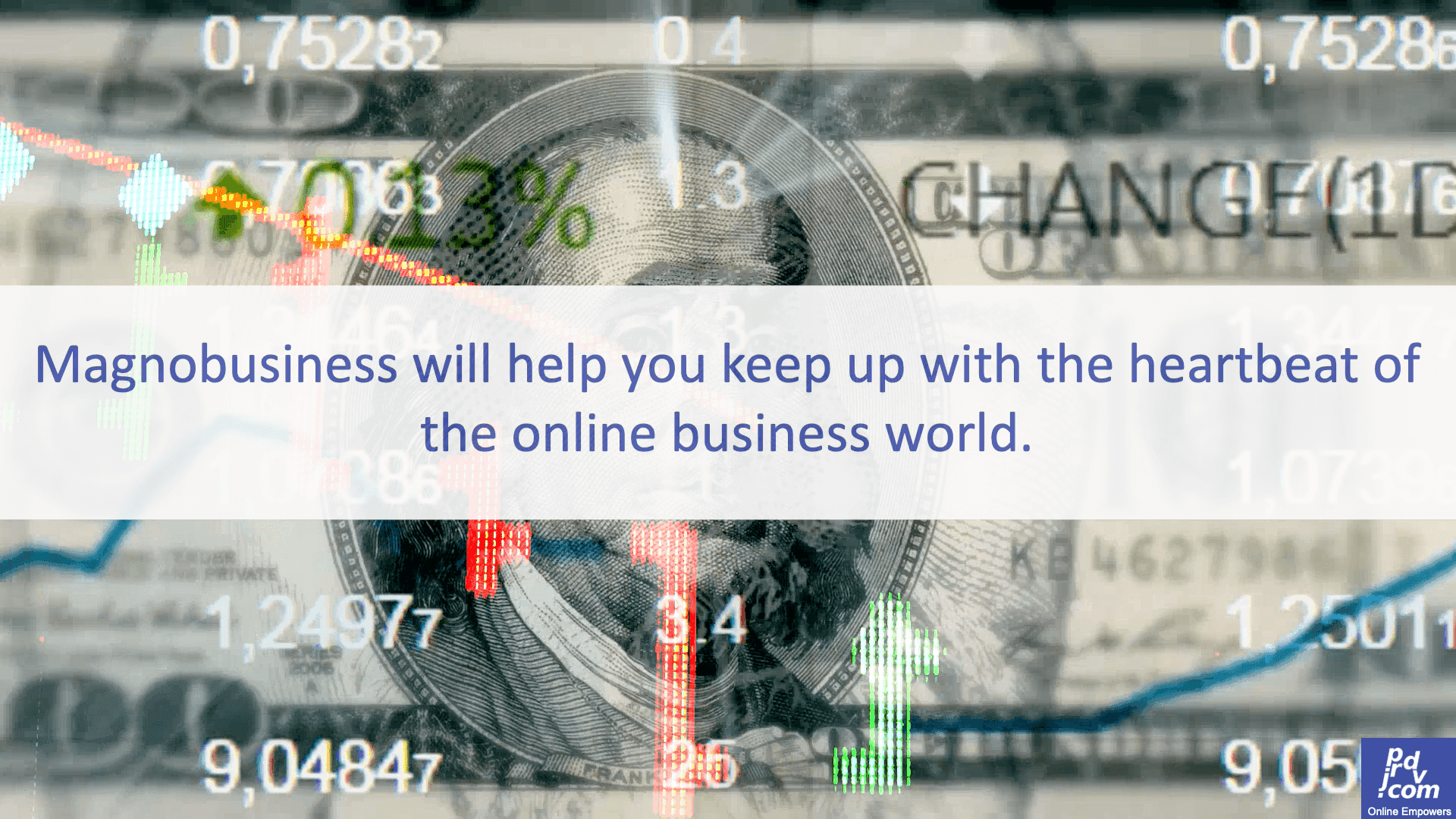 Magnobusiness will help you keep up with the heartbeat of the online business world.