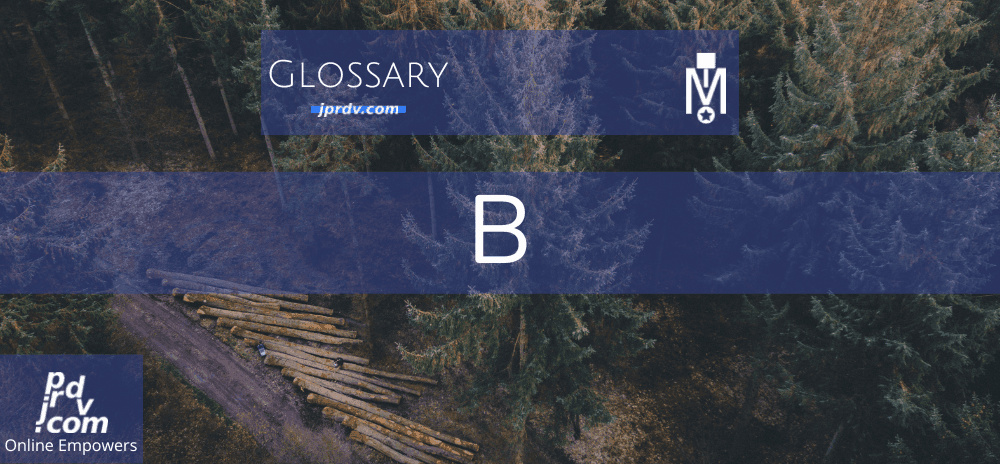 B (Magnobusiness Glossary)