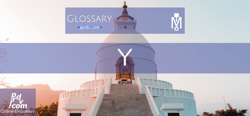 Y (Magnobusiness Glossary)